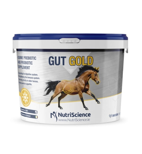 NutriScience-suplement-na-uklad-pokarmowy-Gut-Gold