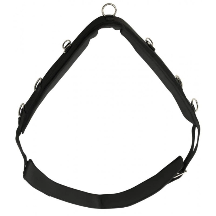 norton-pas-do-lonzowania-synthetic-training-roller