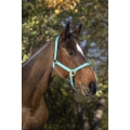 norton-double-thickness-nylon-headcollar-with-buckles (1).jpg