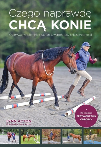 czego-naprawde-chca-konie.jpg