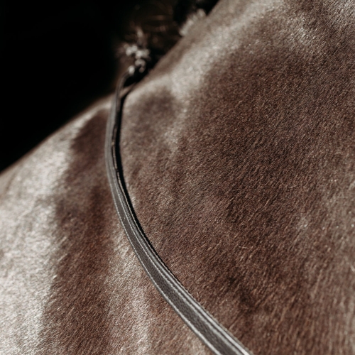 Presteq-wodze-FayRein-Extra-Grip
