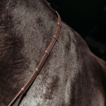 Presteq-wodze-FayRein-Extra-Grip