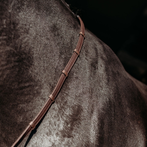 Presteq-wodze-FayRein-Extra-Grip