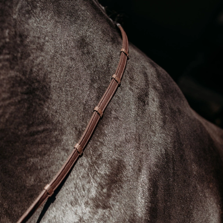 Presteq-wodze-FayRein-Extra-Grip