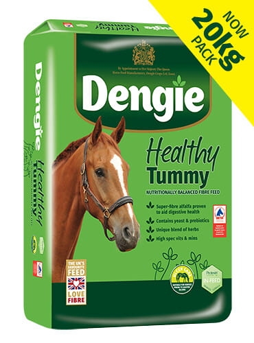 dengie-healthy-tummy