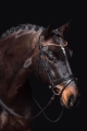 Oglowie-HKM-Rosegold Glamour