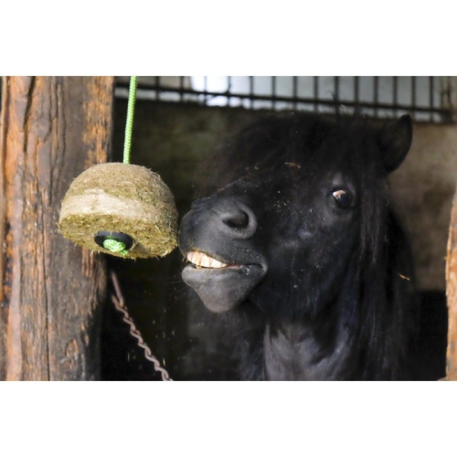 hippo-tonic-zabawka-smakolyk-hay-block