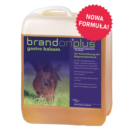 Gastro-Balsam-brandon balsam dla koni na wrzody.png