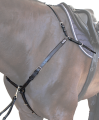 mons.png