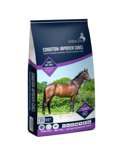 Granulat-na-miesnie-SARACEN-Show-Condition-Improver-Cubes