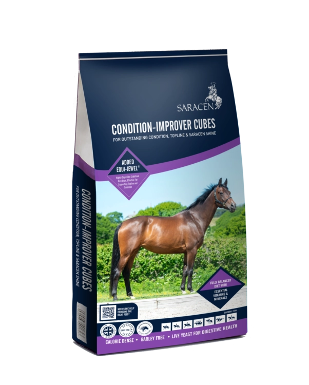 Granulat-na-miesnie-SARACEN-Show-Condition-Improver-Cubes