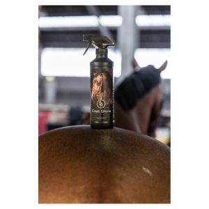 Spray do sierści, grzywy i ogona BR "Coat Shine" 500 ml 