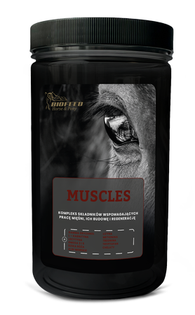 BIOFEED-Horse-Pony-Muscles.png