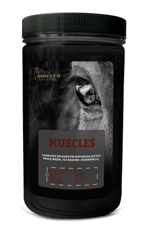 BIOFEED-Horse-Pony-Muscles.png