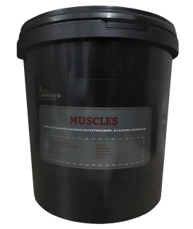 BIOFEED-Horse-Pony-Muscles-6-kg.png