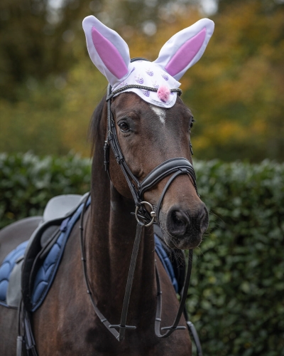 Nauszniki-wielkanocne-dla-konia-QHP-Easter