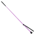 York-bat-Basic