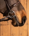johnb11.webp