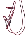 QHP-Kantar-do-jazdy-z-wodzami-multifunctional