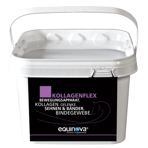 equinova-suplement-wspierajacy-uklad-ruchu-kollagenflex