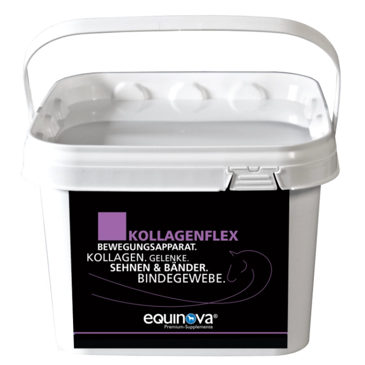 equinova-suplement-wspierajacy-uklad-ruchu-kollagenflex