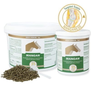 Mangan Equipur ''Mangan P'' 800 g