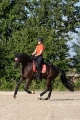 hkm-koszulka-polo-savona-style