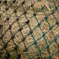 lovequestrian-siatka-na-siano-my-haynet-black-and-forest-green