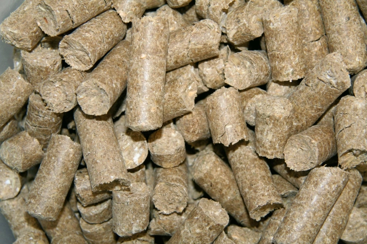 kerbl-delizia-cukierki-dla-koni-classic