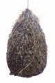 14434_6938.jpg