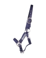 qhp-kantar-safety