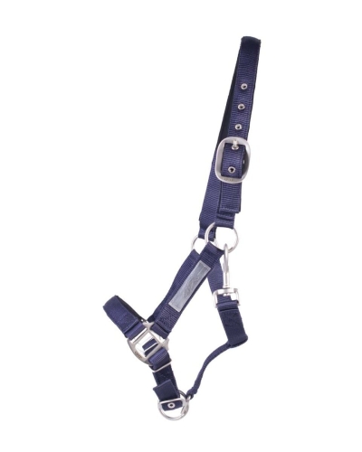 qhp-kantar-safety