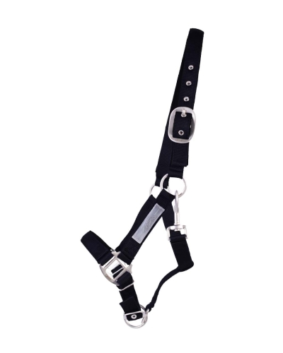 qhp-kantar-safety