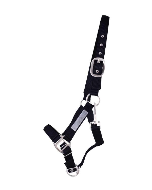 qhp-kantar-safety