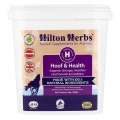 hilton-herbs-suplement-na-kopyta-hoof-&-health