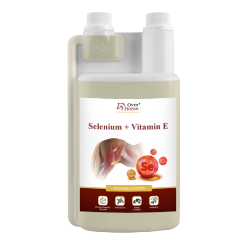 selen-over-horse-selenium-vitamin-e