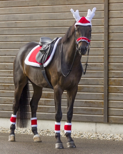 qhp-czaprak-christmas