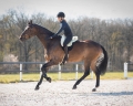 qhp-pad-do-jazdy-na-oklep-super-soft