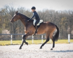 qhp-pad-do-jazdy-na-oklep-super-soft