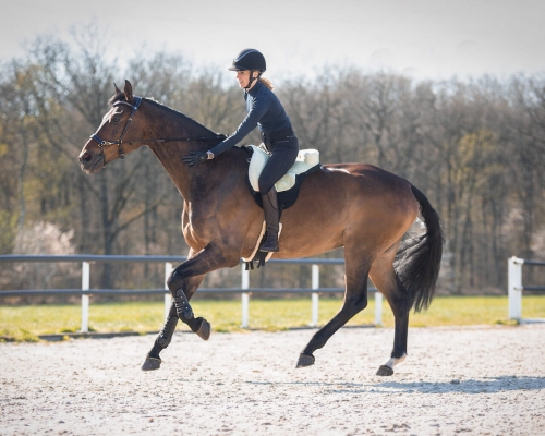 qhp-pad-do-jazdy-na-oklep-super-soft