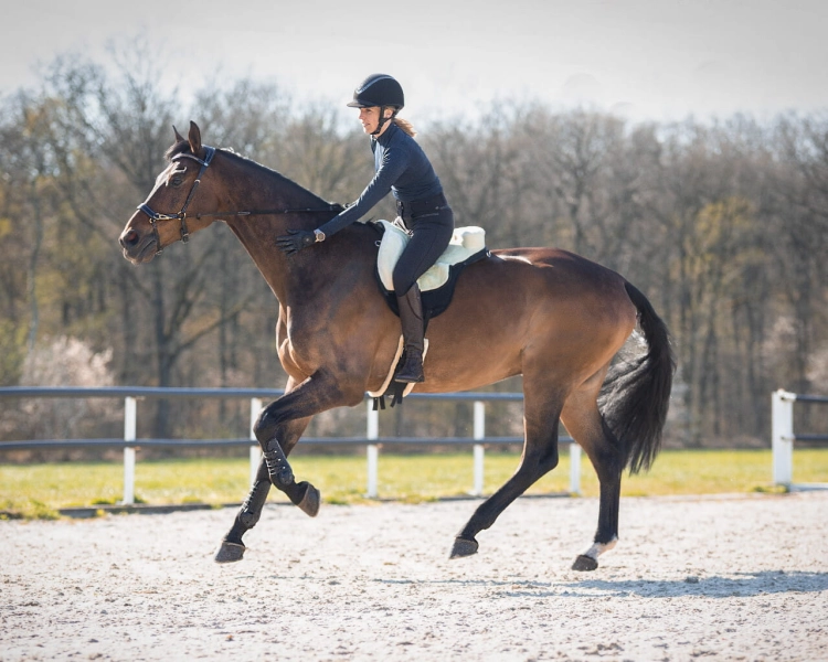 qhp-pad-do-jazdy-na-oklep-super-soft