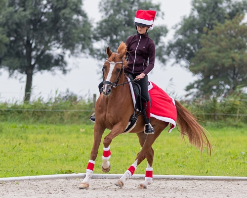 qhp-owijki-christmas