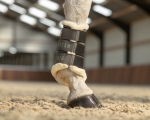 qhp-ochraniacze-equestrian-dream