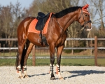 qhp-ochraniacze-menton