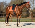 qhp-ochraniacze-tylne-menton