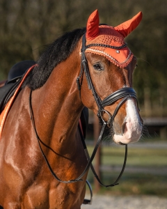 Nauszniki QHP "Menton"