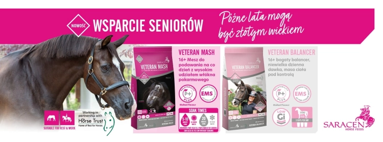 mesz-dla-seniorow-saracen-veteran-mash-20kg