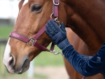 rekawiczki-zimowe-fair-play-dagmar-aw2023-granat