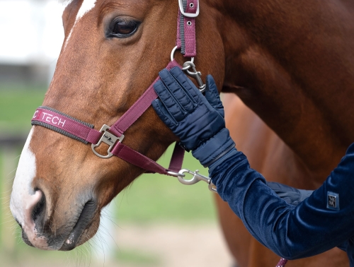 rekawiczki-zimowe-fair-play-dagmar-aw2023-granat
