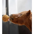 lizawka-zbozowa-likit-granola-stall-ball